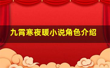 九霄寒夜暖小说角色介绍