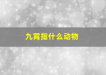 九霄指什么动物