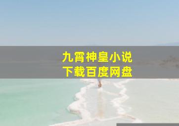 九霄神皇小说下载百度网盘