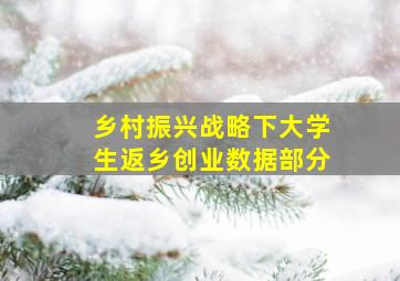 乡村振兴战略下大学生返乡创业数据部分