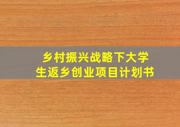 乡村振兴战略下大学生返乡创业项目计划书