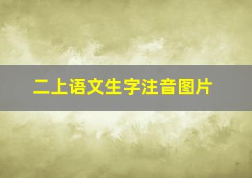 二上语文生字注音图片