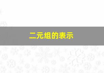 二元组的表示