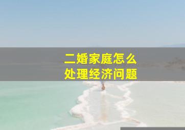 二婚家庭怎么处理经济问题