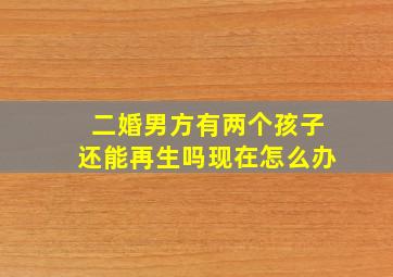 二婚男方有两个孩子还能再生吗现在怎么办