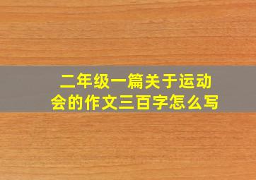 二年级一篇关于运动会的作文三百字怎么写