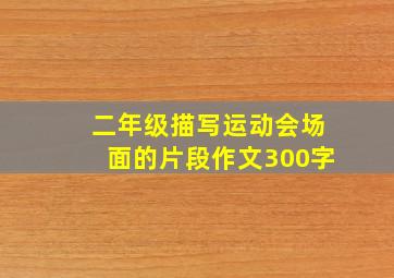 二年级描写运动会场面的片段作文300字