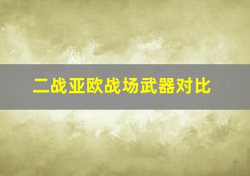 二战亚欧战场武器对比