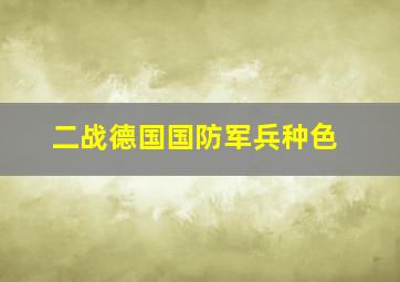 二战德国国防军兵种色