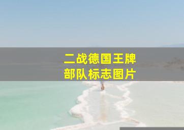 二战德国王牌部队标志图片