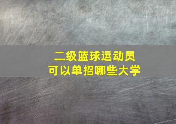 二级篮球运动员可以单招哪些大学