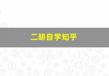 二胡自学知乎