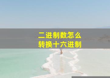 二进制数怎么转换十六进制