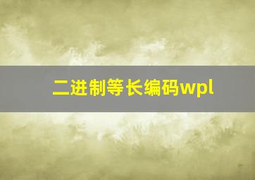 二进制等长编码wpl