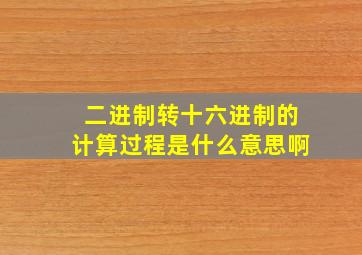 二进制转十六进制的计算过程是什么意思啊