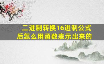 二进制转换16进制公式后怎么用函数表示出来的