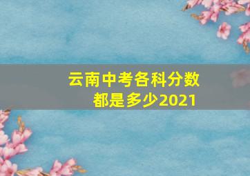 云南中考各科分数都是多少2021