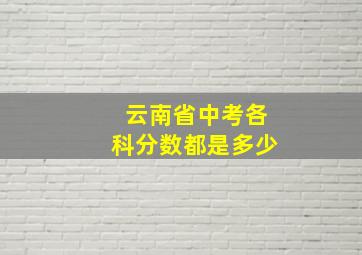 云南省中考各科分数都是多少