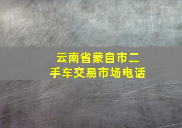 云南省蒙自市二手车交易市场电话