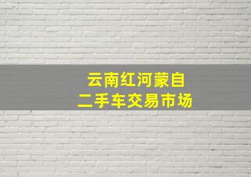 云南红河蒙自二手车交易市场