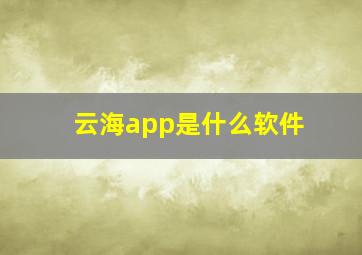 云海app是什么软件