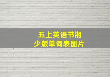 五上英语书湘少版单词表图片