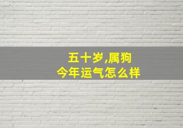 五十岁,属狗今年运气怎么样