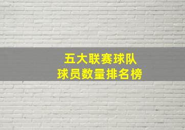 五大联赛球队球员数量排名榜