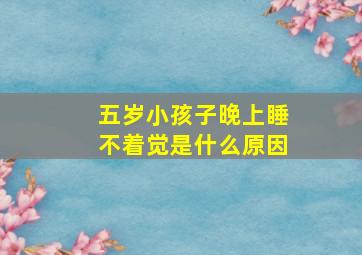 五岁小孩子晚上睡不着觉是什么原因