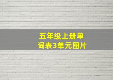 五年级上册单词表3单元图片