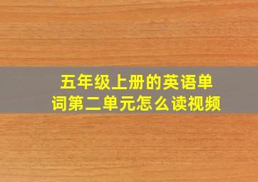 五年级上册的英语单词第二单元怎么读视频