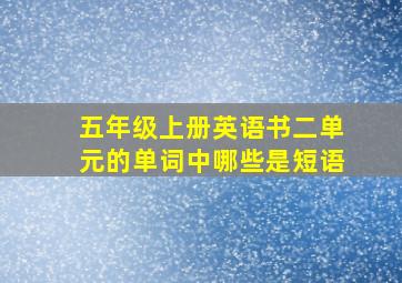 五年级上册英语书二单元的单词中哪些是短语