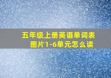 五年级上册英语单词表图片1-6单元怎么读