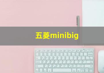 五菱minibig