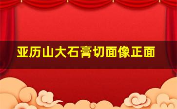 亚历山大石膏切面像正面