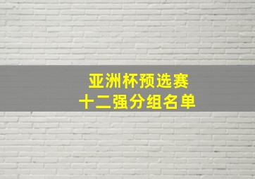 亚洲杯预选赛十二强分组名单