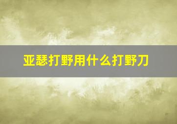 亚瑟打野用什么打野刀