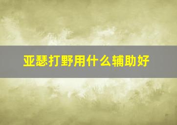 亚瑟打野用什么辅助好