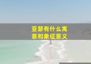 亚瑟有什么寓意和象征意义