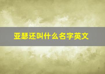 亚瑟还叫什么名字英文