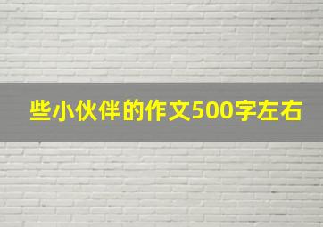 些小伙伴的作文500字左右