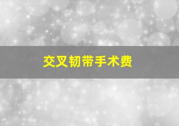 交叉韧带手术费