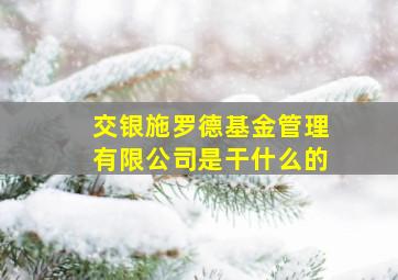 交银施罗德基金管理有限公司是干什么的