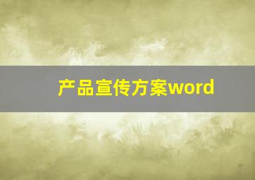 产品宣传方案word