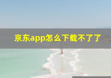 京东app怎么下载不了了