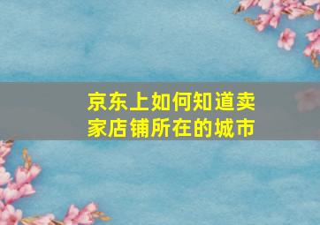 京东上如何知道卖家店铺所在的城市