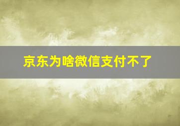 京东为啥微信支付不了