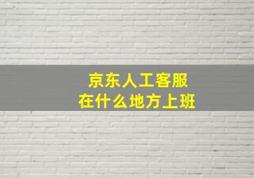 京东人工客服在什么地方上班