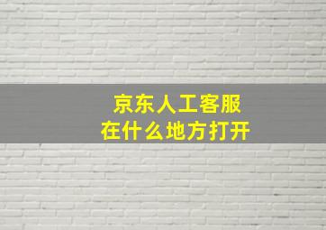 京东人工客服在什么地方打开