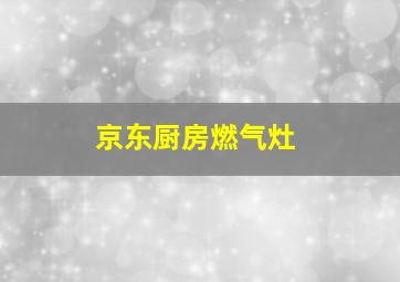 京东厨房燃气灶